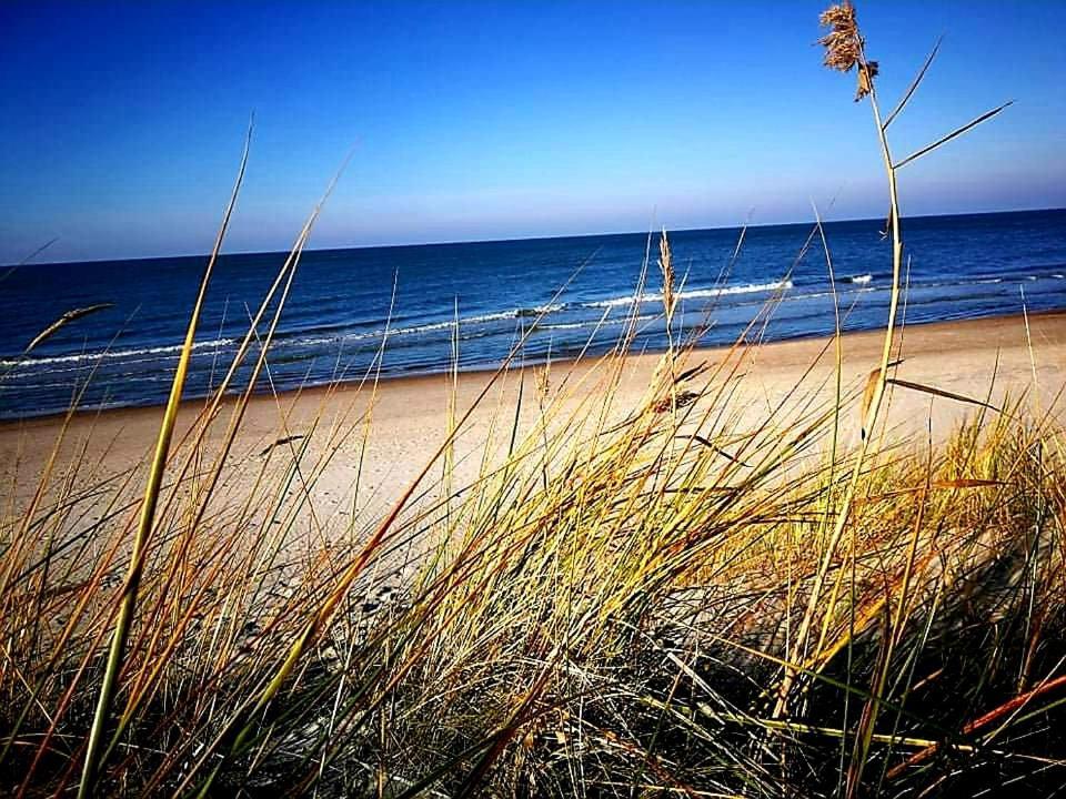 Dianos Apartamentai Palanga Exteriör bild
